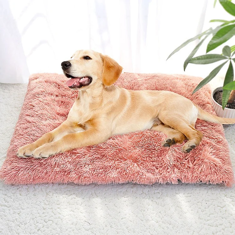 Plush Soft And Comfortable Pet Mattress Bed