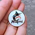 Delfín de Miami