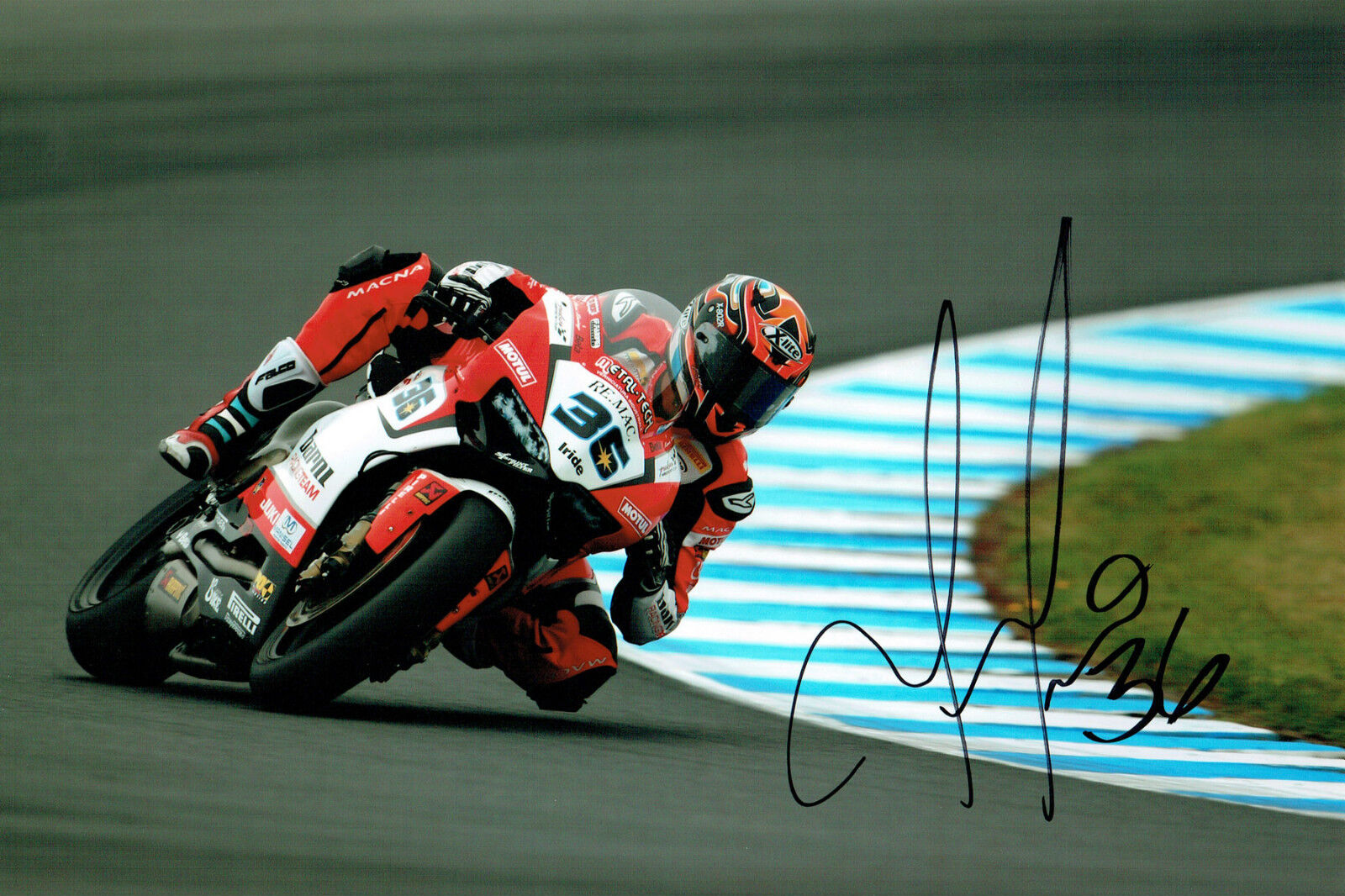 Leandro MERCADO SIGNED Autograph WSBK 12x8 Ducati Barni Racing Photo Poster painting AFTAL COA