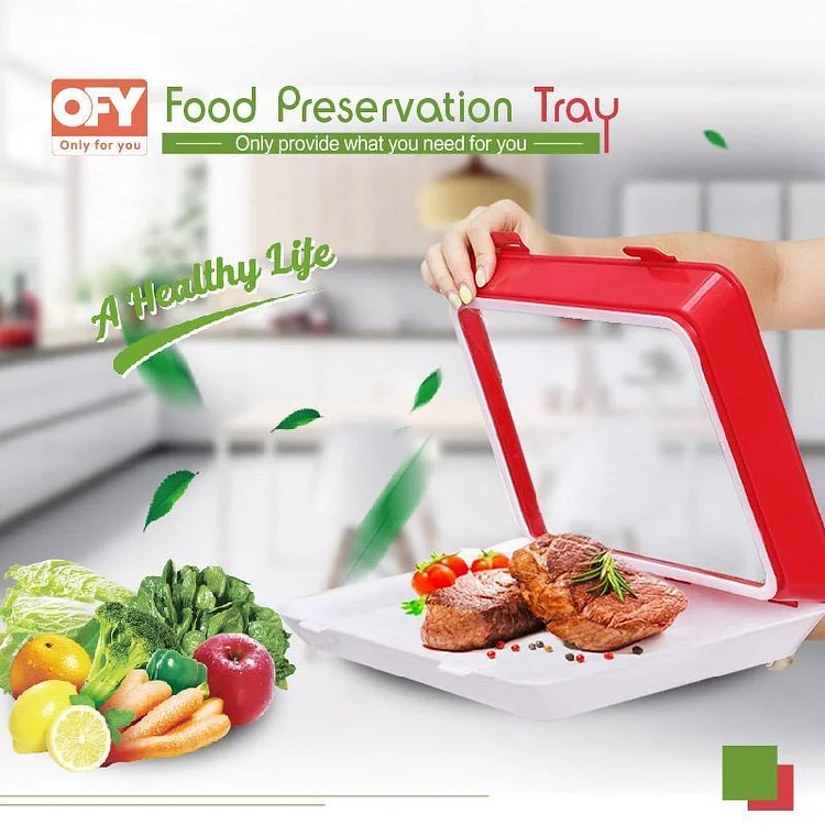 (75% OFF) Rectangle Food Preservation Tray