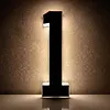 LED Illuminated Modern Address Sign Waterproof Personalized Solar Powered Address Number Dusk To Dawn Adhesive Or Screw Mount for Outside House Light Up Courtyard Hotel Bar