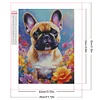 Bouledogue-Carré Diamant Peinture-45*55CM