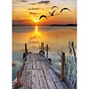 Painting By Numbers - DIY Seagull Bridge(40*50cm)