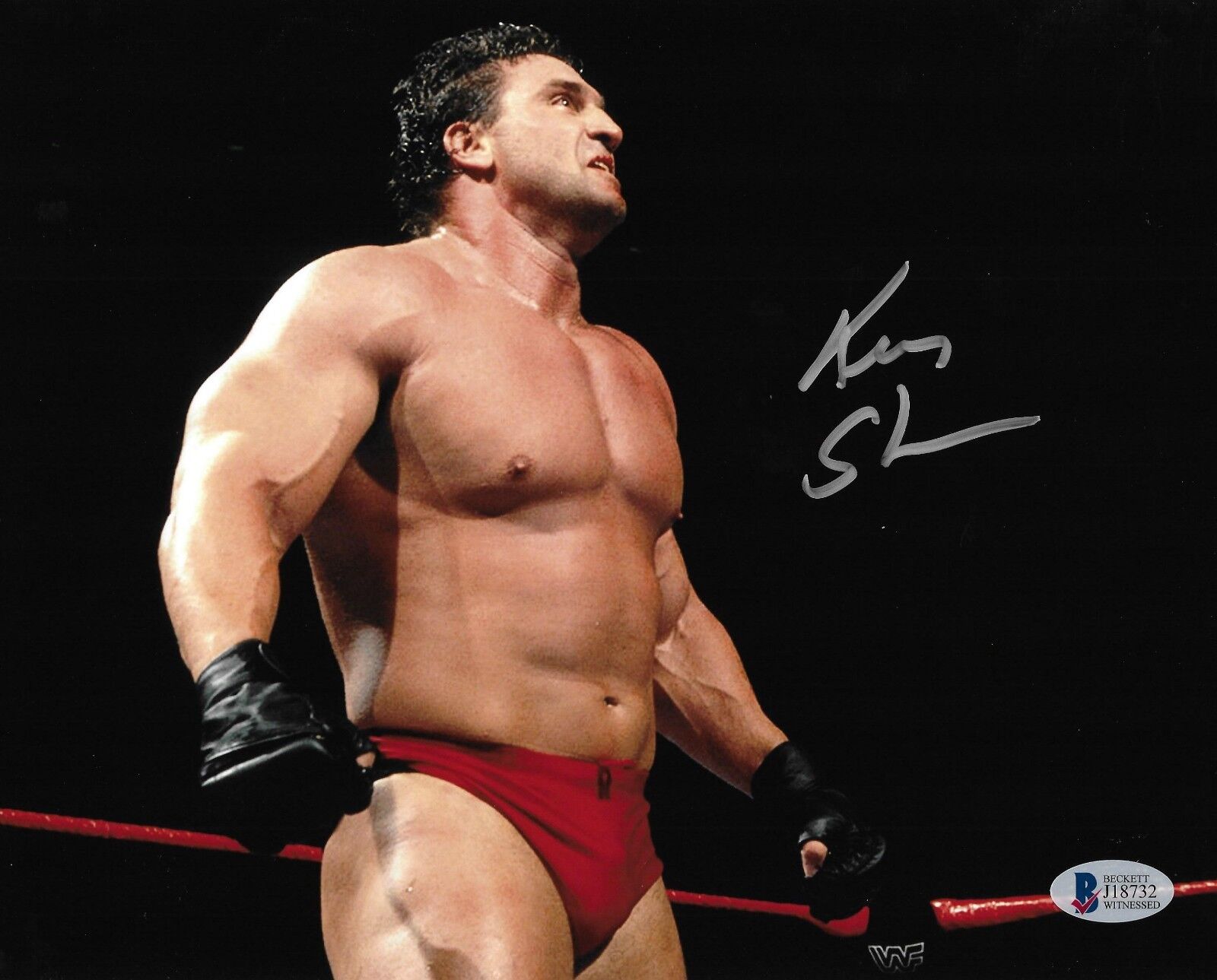 Ken Shamrock Signed 8x10 Photo Poster painting BAS Beckett COA UFC Pride WWE Picture Autograph 4