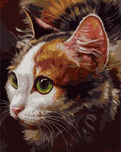 

Cool Cat – Paint By Numbers - 40*50CM, 501 Original