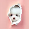 Dog - Square AB Drills Diamond Painting(45*45cm)