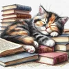 Books And Cats-11CT Stamped Cross Stitch 40*40cm/15.75*15.75in tapestrymarket