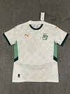 2025/2026 Lvory Coast National Team Away Football Shirt 1:1 Thai Quality love fball