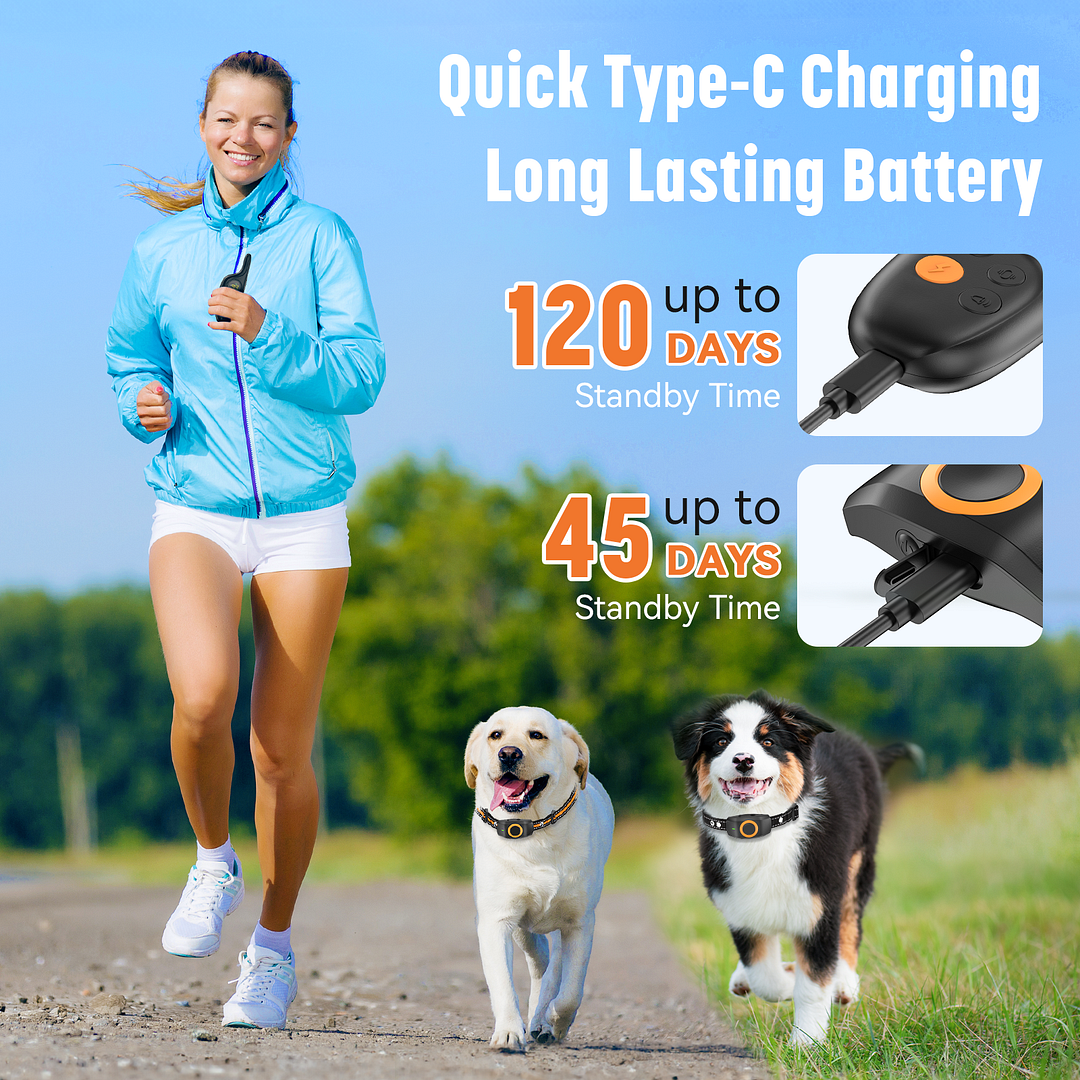 MAXLAPTER 2 Dogs Training Collar, IPX7 Waterproof Dog Shock Collar with 3 Modes, Rechargeable Pet Collar 2624ft Remote Control