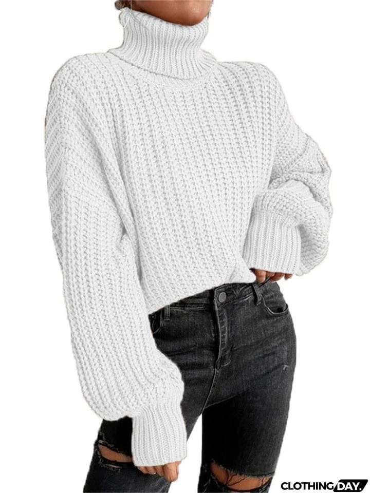 Turtle Neck Long Sleeve Pullover Sweaters