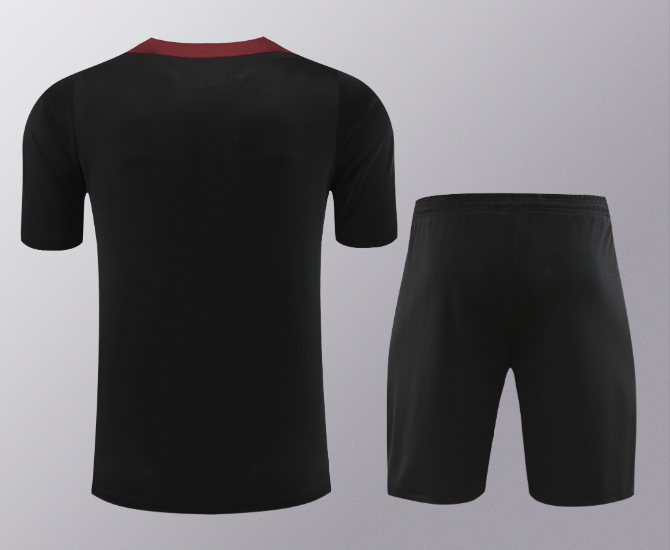 24/25 PSG Paris Saint Germain Short Sleeve Training Kit Thai Quality