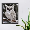 Pearl Owl on Branch-Special Shaped Diamond Painting