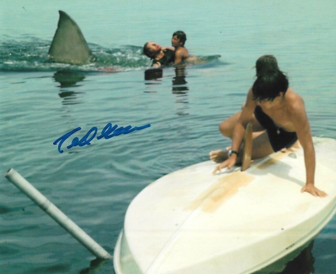 * TED GROSSMAN * signed 8x10 Photo Poster painting * JAWS * PROOF * COA * 8