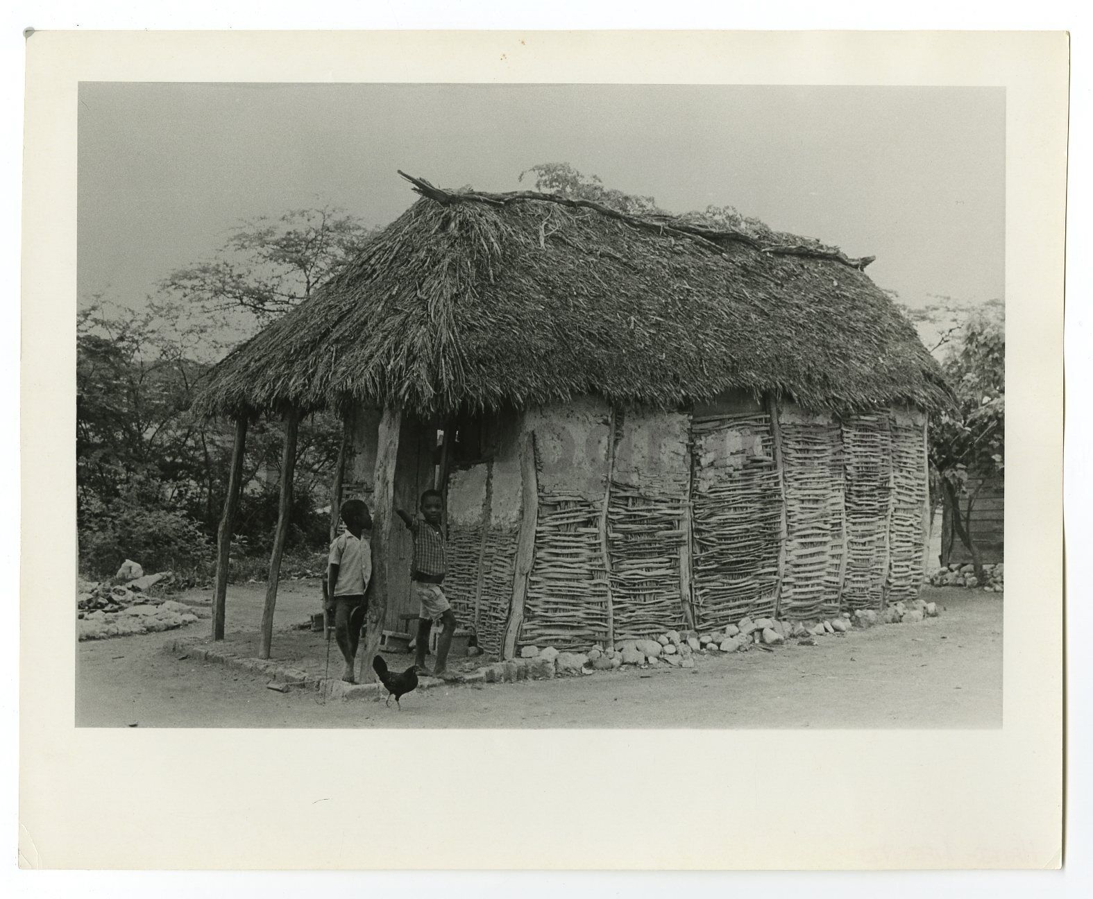 Haitian History - Caille, Port au Prince - Vintage 8x10 Photo Poster paintinggraph - 1973