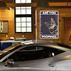 Short-Tailed Cat - Vintage Metal Signs(8*12Inch) - Cat