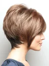 Short Hair Natural Chemical Fiber Wig