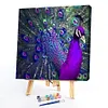 uk.everydayedeals (Limited Stock)Paint By Number - Oil Painting -  Peacock (40*40Cm)