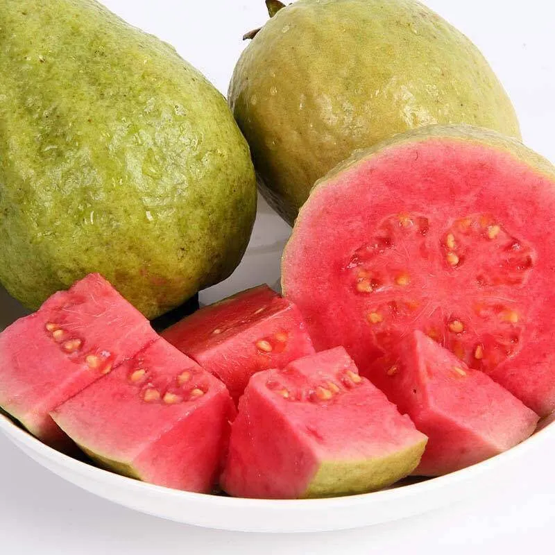 Pink Guava Seeds for Planting- Suitable for Pots,Greenhouses, and Outdoor Gardens
