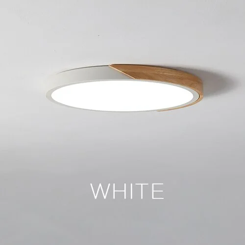 Modern LED Ceiling Light Surface Mount Flush Lamp Indoor Lighting Fixture Living Room Bedroom Kitchen Remote Control Dimmable