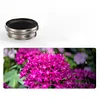 Fotorgear &middot; Retro Titanium Original Color Mobile Phone External Lens