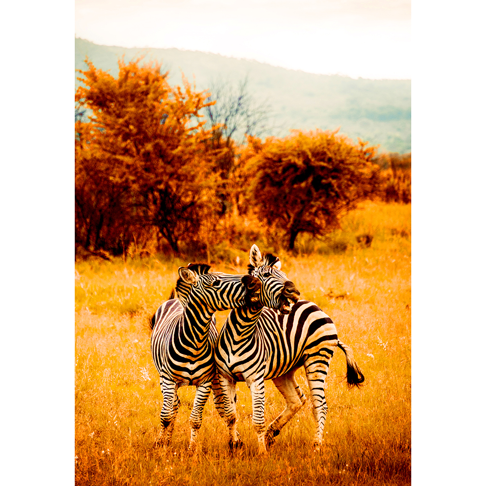 

Zebra on Grass - 1000 Pieces Jigsaw Puzzle, 501 Original