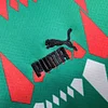 2023 Senegal Away Football Shirt 1:1 Thai Quality