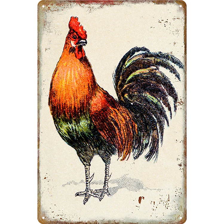 Chicken - Rooster Vintage Tin Signs/Wooden Signs - 7.9x11.8in & 11.8x15.7in