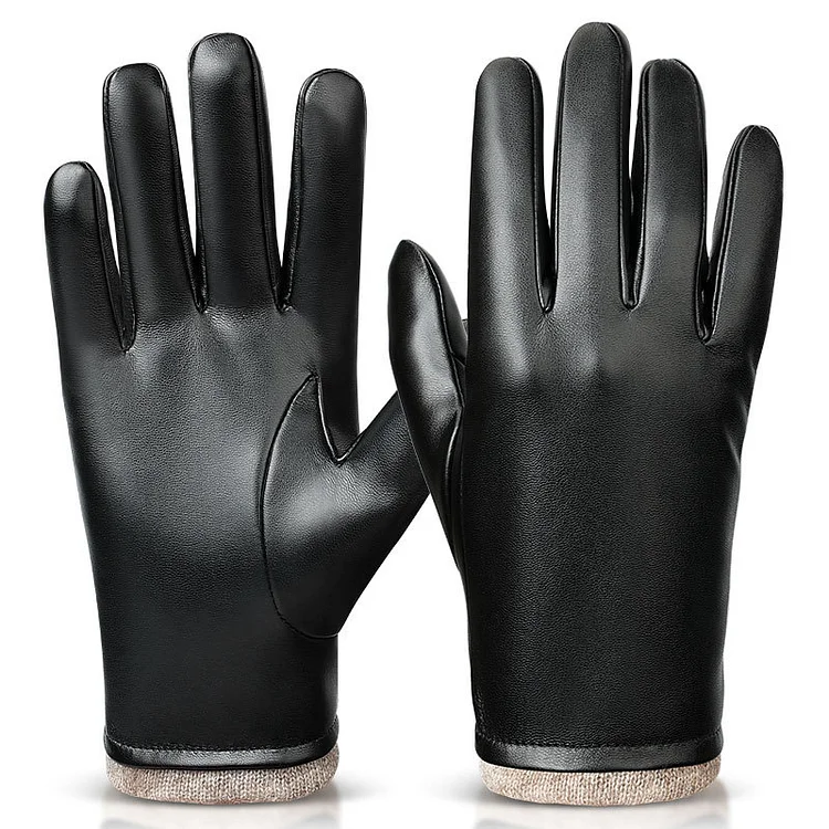 Autumn and Winter Riding Windproof Coldproof warm Waterproof Business Padded Leather Gloves
