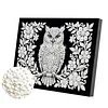 DIY Pearl Painting Owl for Home Wall Decor with Frame(20x30cm)