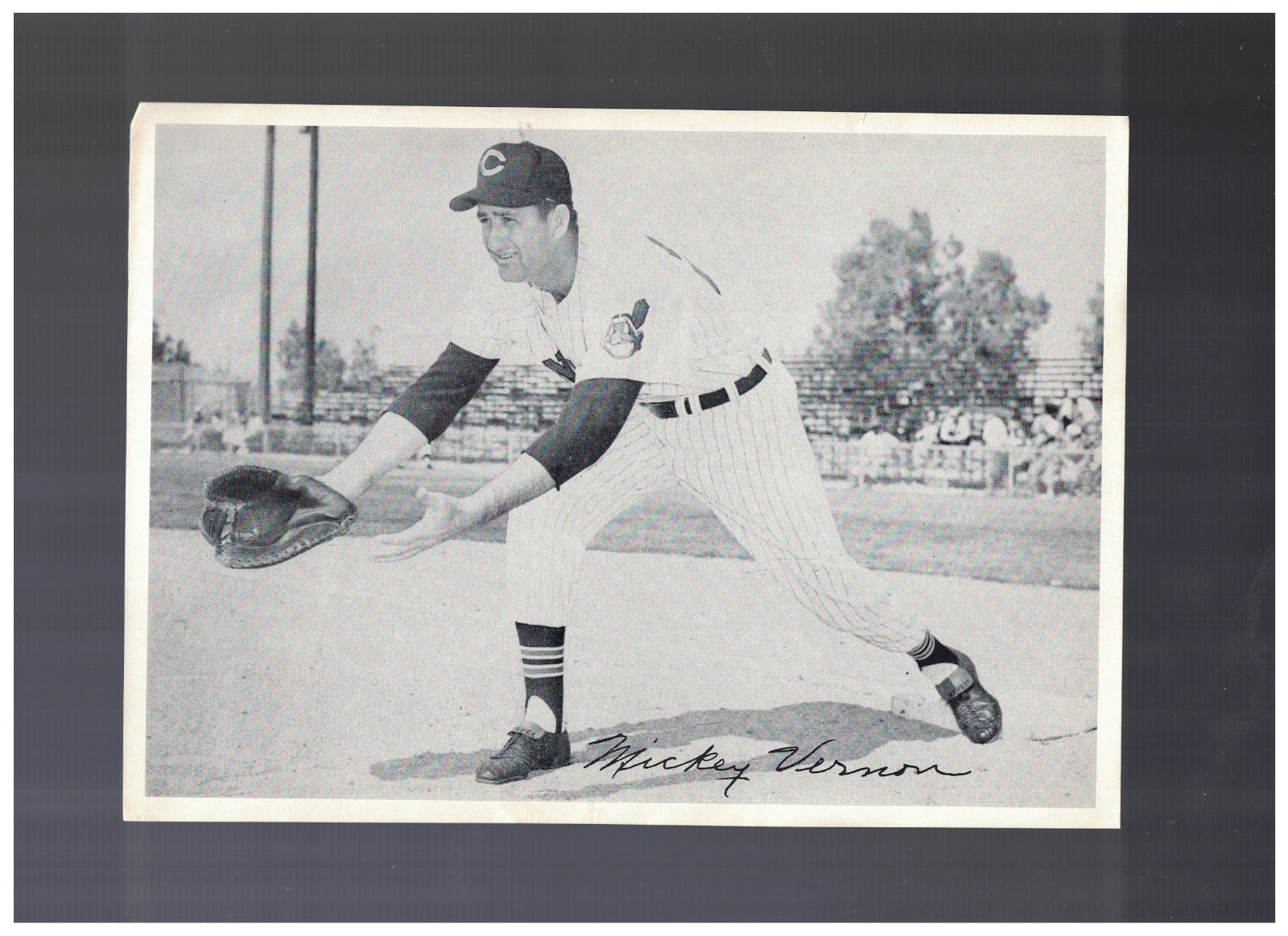 Mickey Vernon Cleveland Indians 1950's 6x9 Picture Pack Photo Poster painting AO