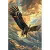 (40*60cm)Eagle - Full Round Drill Diamond Painting