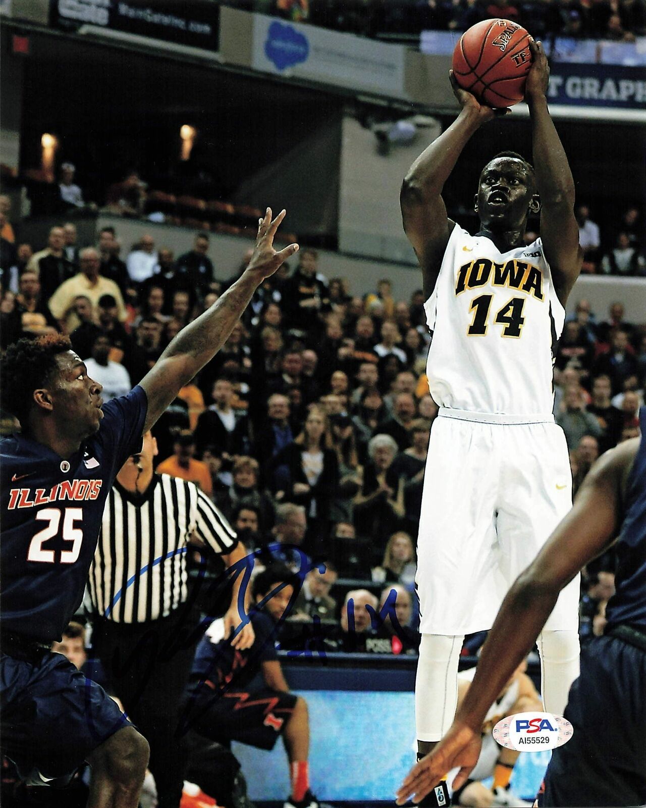 Peter Jok signed 8x10 Photo Poster painting PSA/DNA Iowa Hawkeyes Autographed