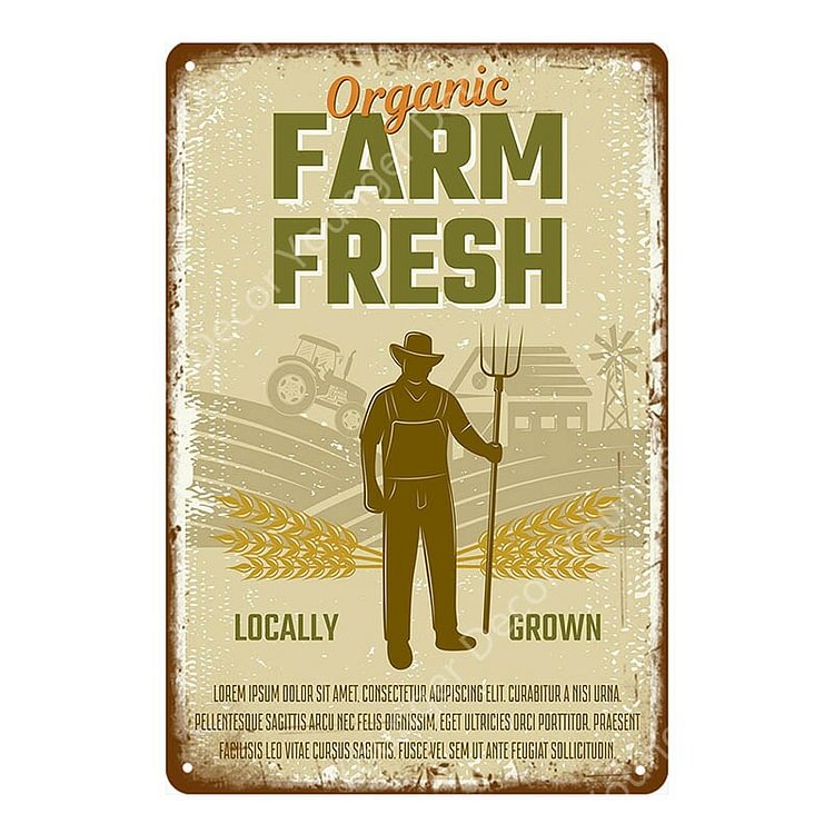Fresh Happy Chicken - Vintage Tin Signs/Wooden Signs - 7.9x11.8in & 11.8x15.7in