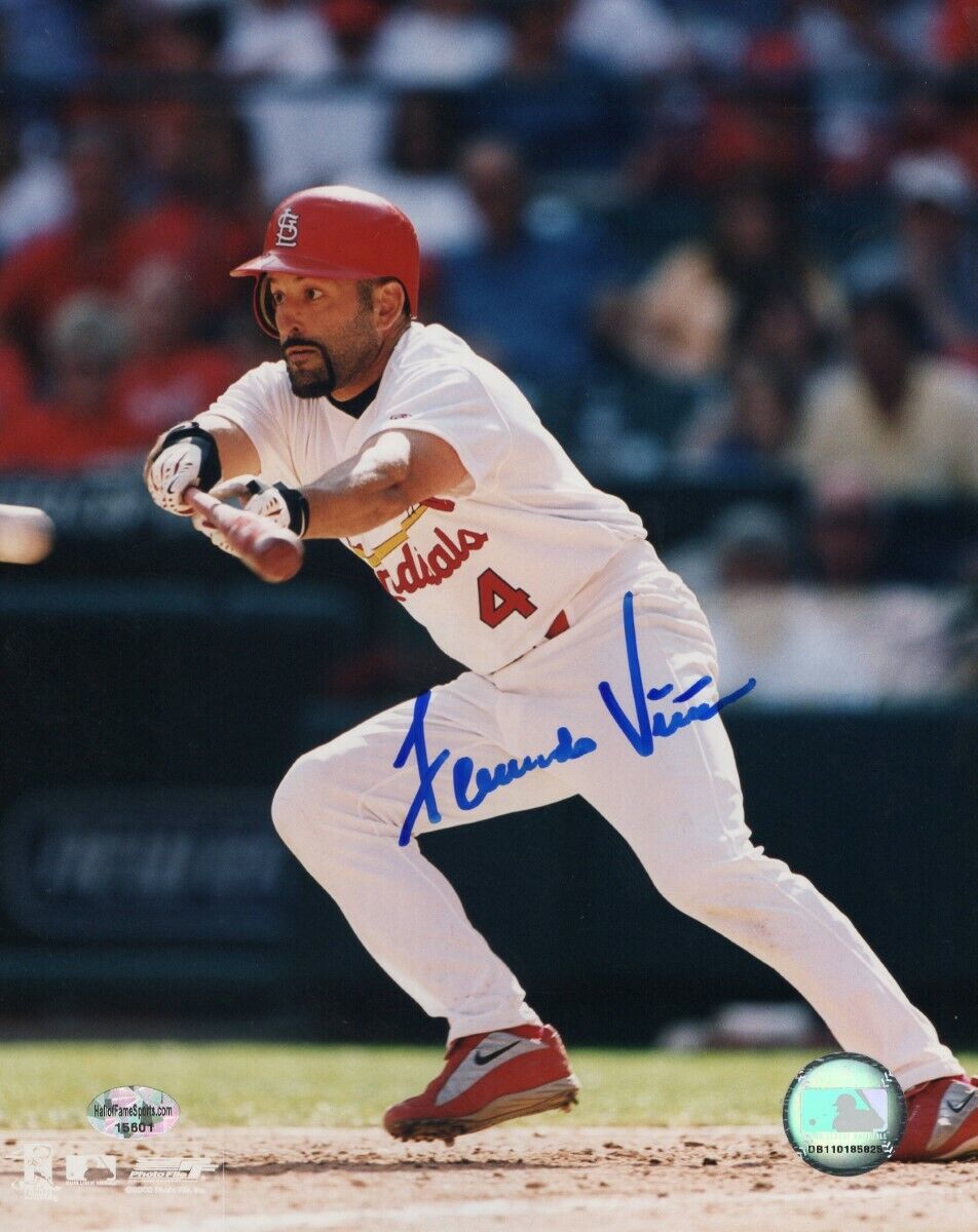 Fernando Vina Signed Autographed 8X10 Photo Poster painting Bunting St. Louis Cardinals w/COA