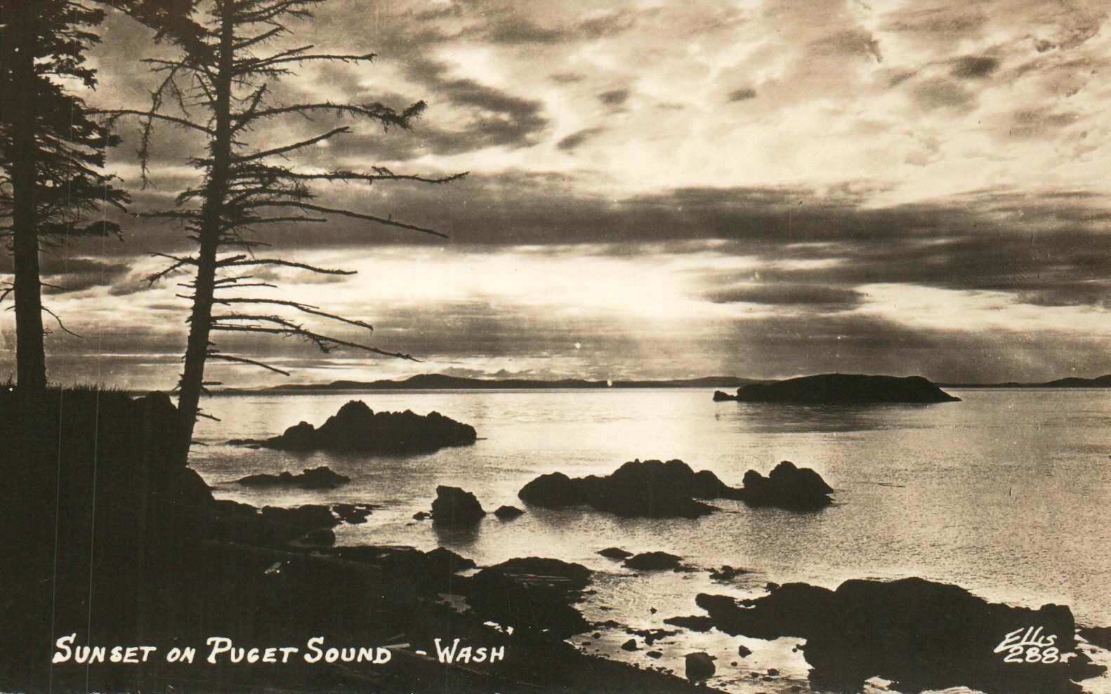 Vintage Sunset on Puget Sound Washington RPPC Real Photo Poster painting Postcard