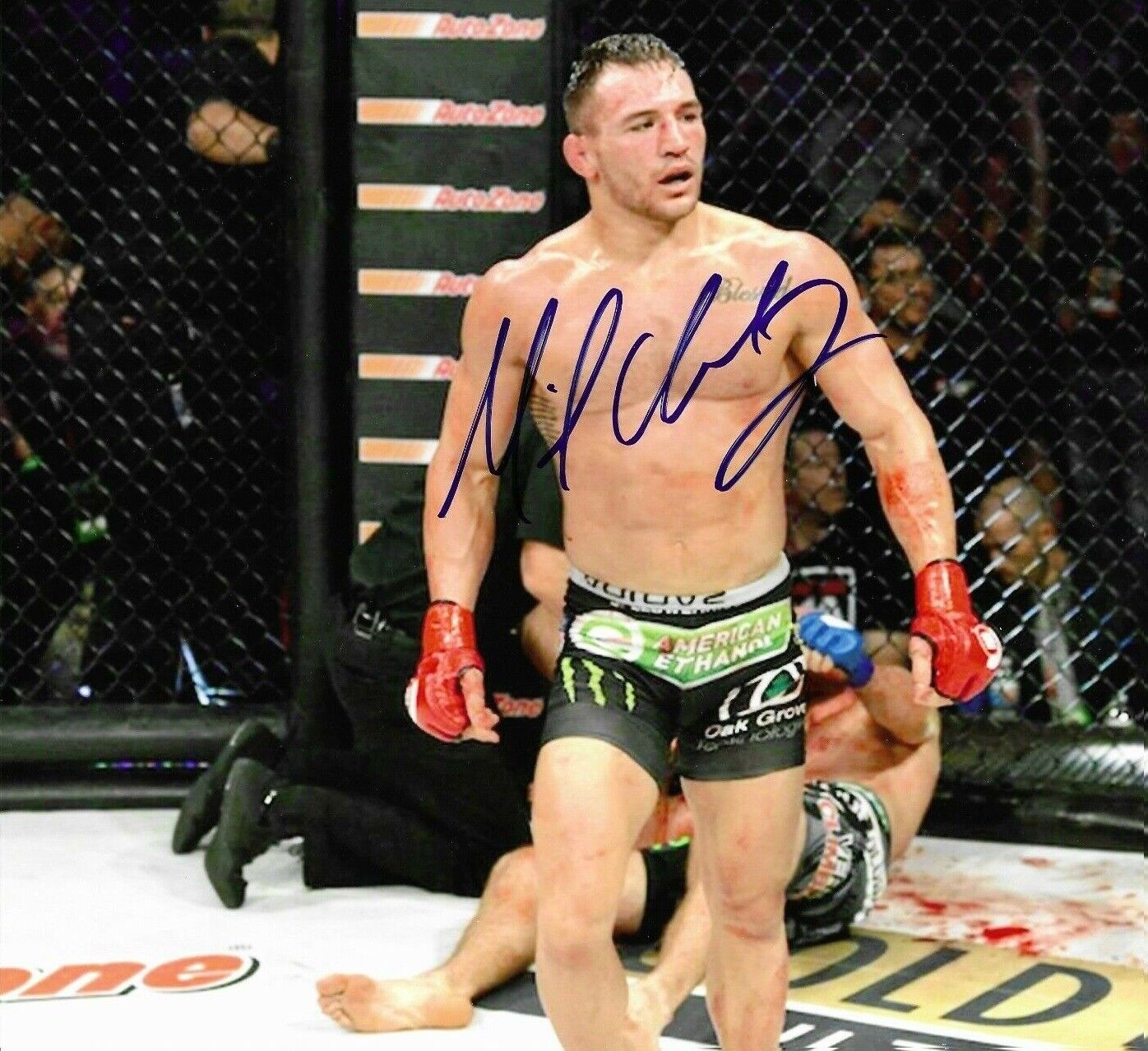 Michael Chandler Autographed Signed 8x10 Photo Poster painting ( UFC ) REPRINT