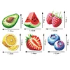(US Local)6Pcs Acrylic Fruits Diamond Painting Fridge Magnet for Adults Beginners Craft Kit