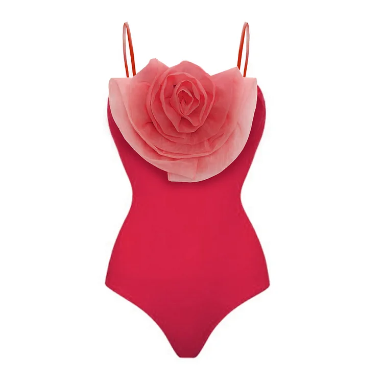 Rosa Muscosa Gradient One Piece Swimsuit and Skirt Flaxmaker