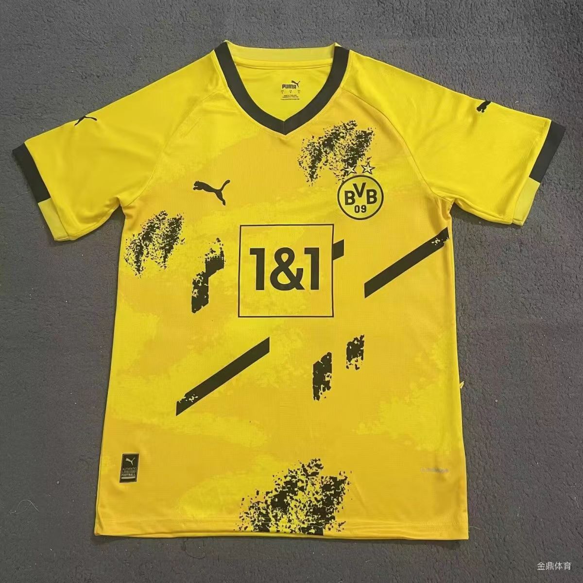 24/25-TR-BVB-SS-FANS-A04806