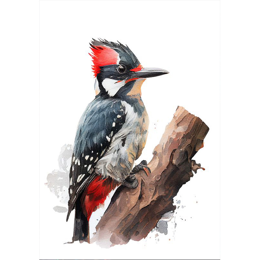 Woodpecker-Paint by Numbers-12"x16"/30x40cm