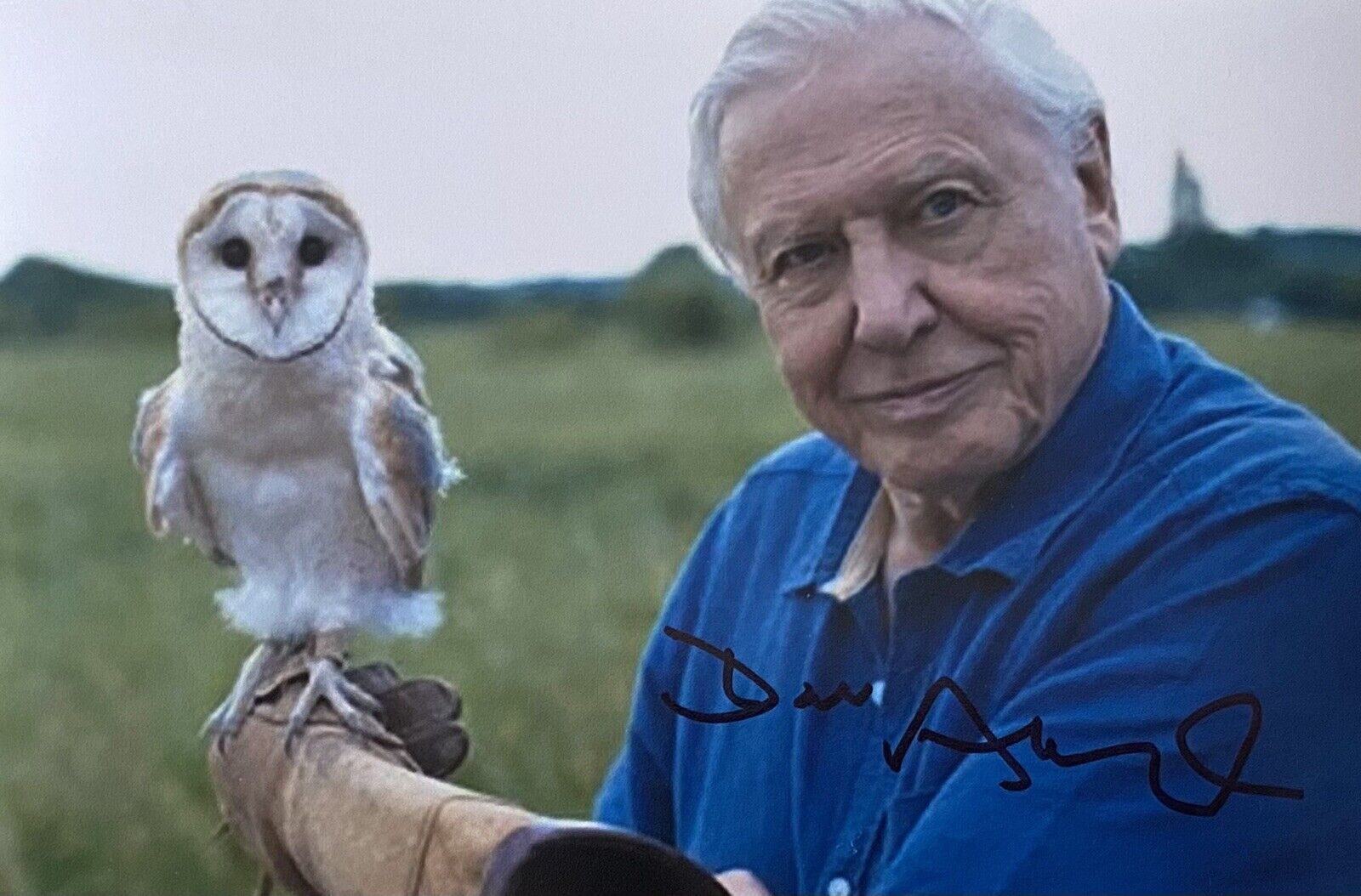 Sir David Attenborough Genuine Hand Signed 6x4 Photo Poster painting 42