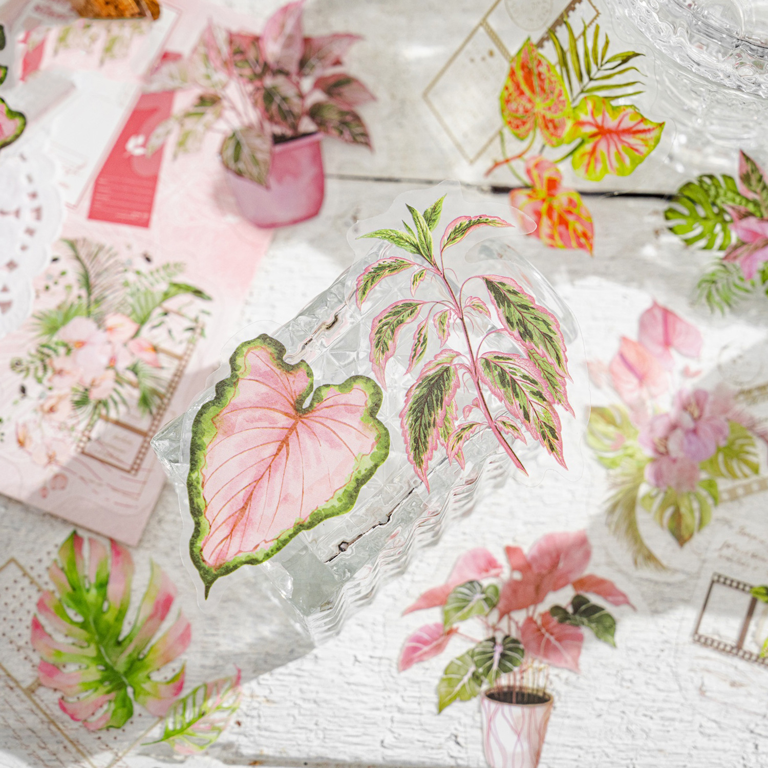 PET 스티커 - 녹색 식물 워크숍 시리즈