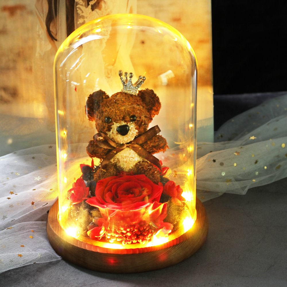 Beatea Coffee Preserved Rose Teddy Bear Glass with LED Light In Glass Dome