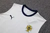 Joyfball 2025 Portugal pre-match training Jersey+Shorts  1:1 Thai Quality