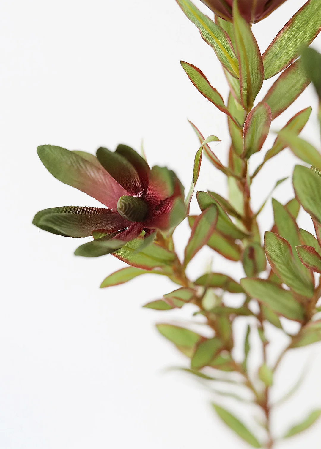 Artificial Wild Protea Foliage - 26.25"