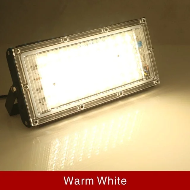 Led Flood Light 50W 220V Outdoor Floodlight IP65 Waterproof LED Street Lamp Cold/Warm white Red Green Blue RGB Spotlight