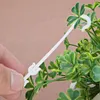 50pcs Plant Grape Vines Support Clips Trellis Fruit Cherry Tomato Ear Hook