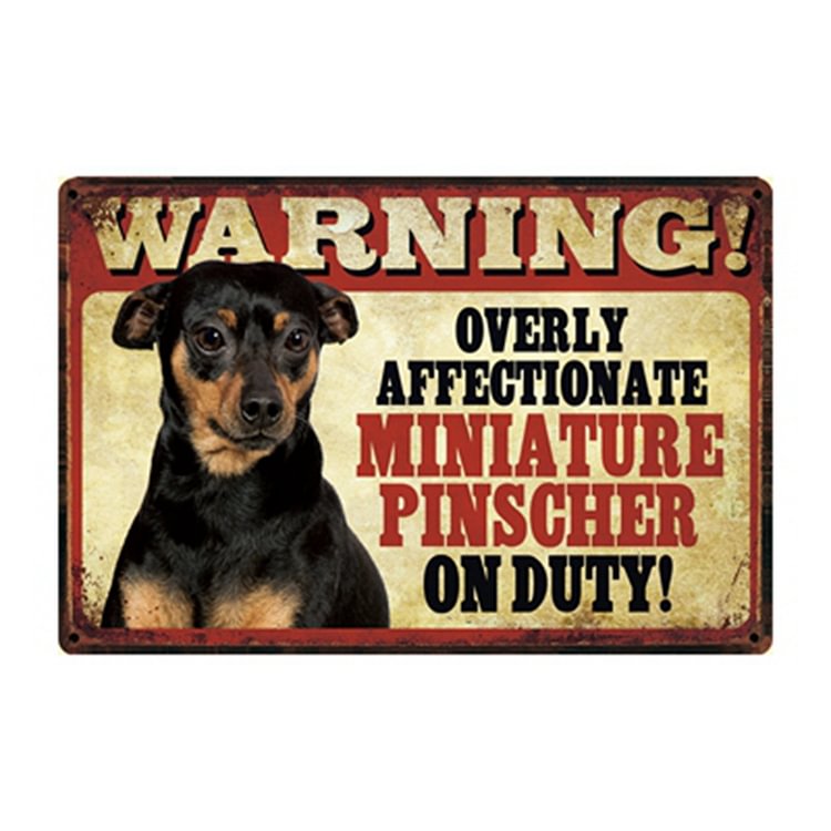 Warning! Overly Affectionate Miniature Pinscher On Duty! - Vintage Tin Signs/Wooden Signs - 7.9x11.8in & 11.8x15.7in