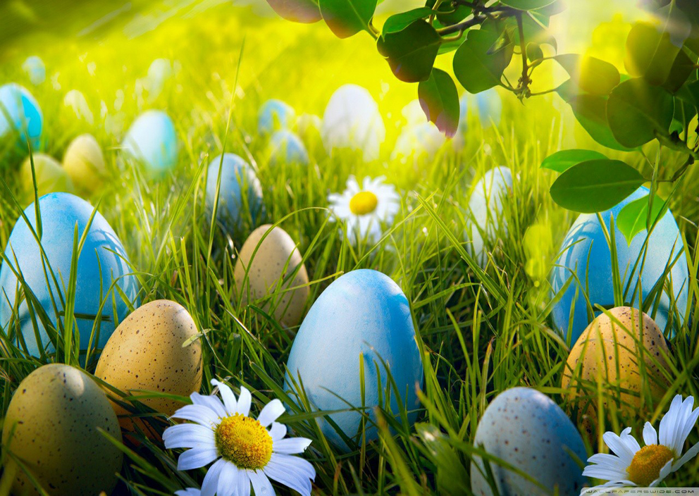 

Easter Eggs - Round Drill Diamond Painting - 40*30CM, 501 Original