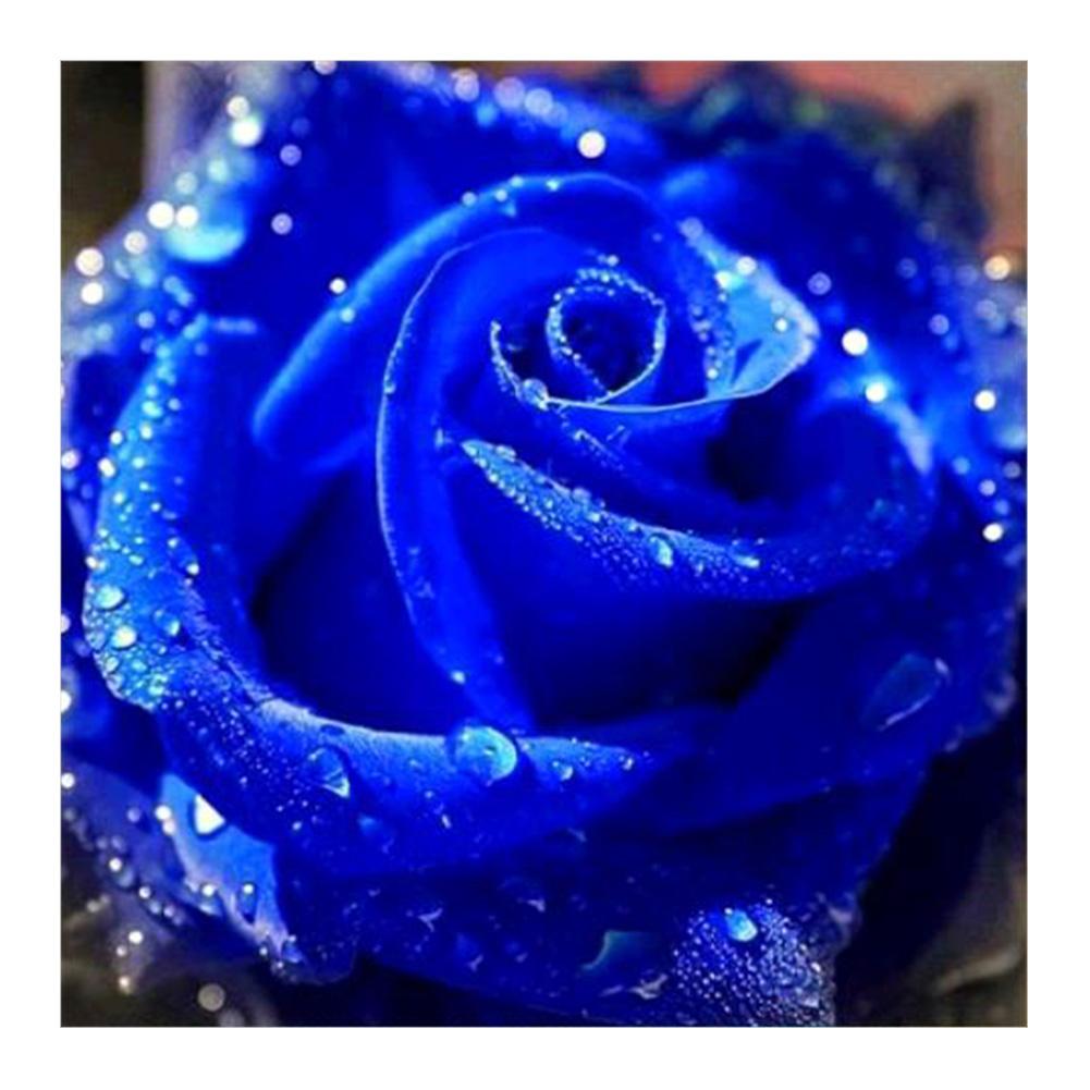 

30*30CM - Blue Rose - Round Drill Diamond Painting, 501 Original